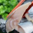 Cá saba phi lê rút xương đông lạnh, sản phẩm an toàn